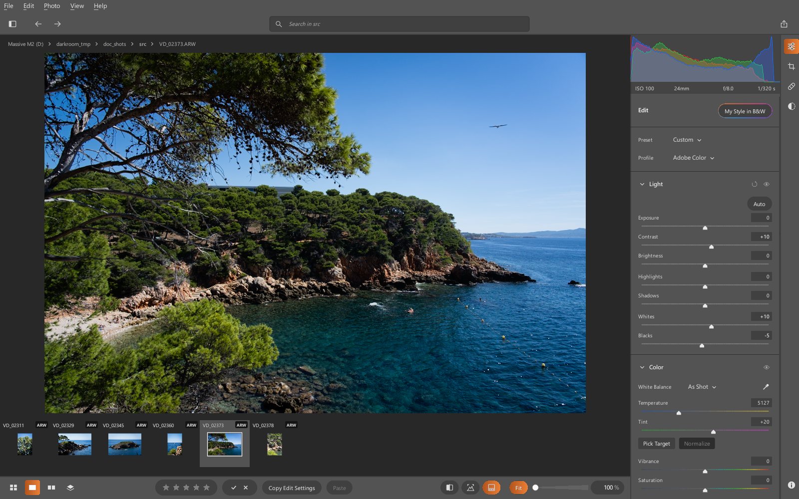 Workspace for Camera Raw users